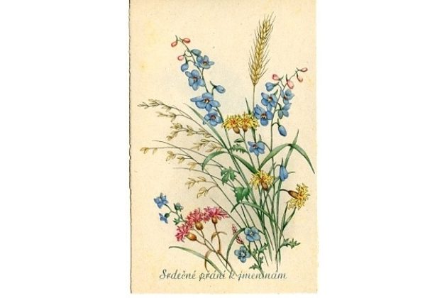 C 38514 - Srdečné blahopřání k jmeninám