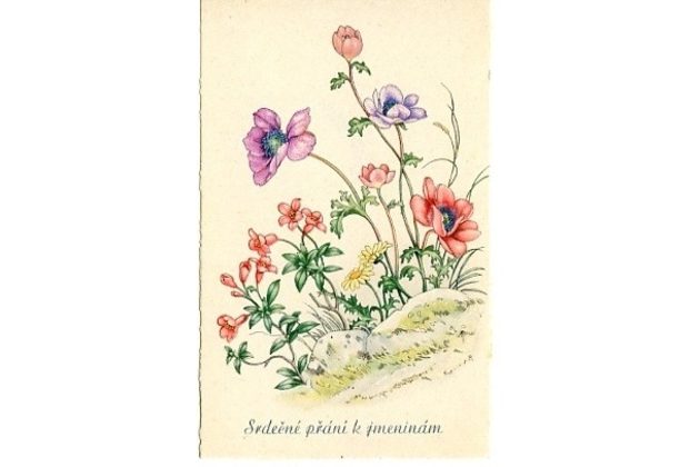 C 38513 - Srdečné blahopřání k jmeninám