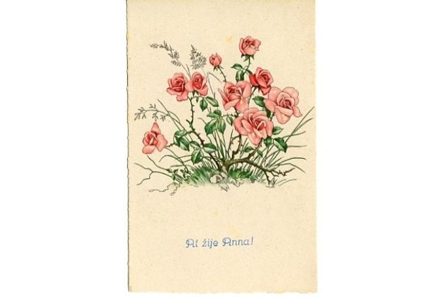 C 38521 - Ať žije Anna