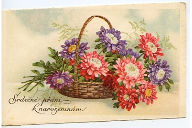 C 38520 - Srdečné blahopřání k narozeninám