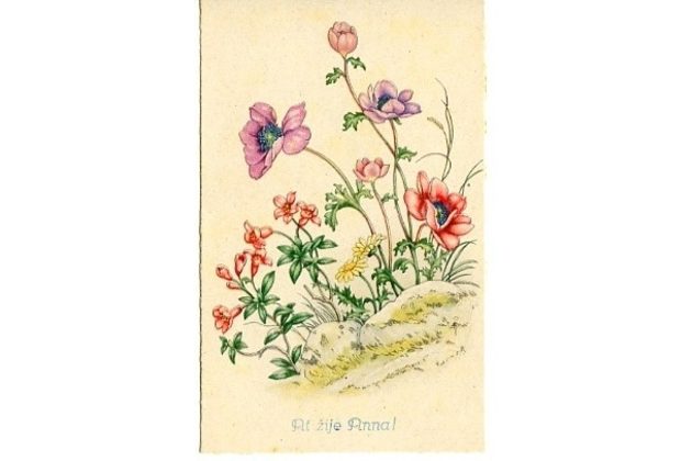 C 38517 - Ať žije Anna