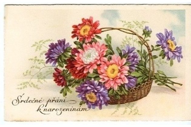 C 38522 - Srdečné blahopřání k narozeninám