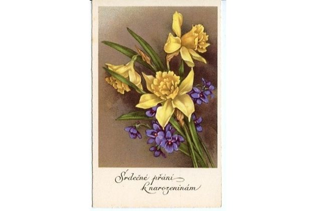 C 38535 - Srdečné blahopřání k narozeninám