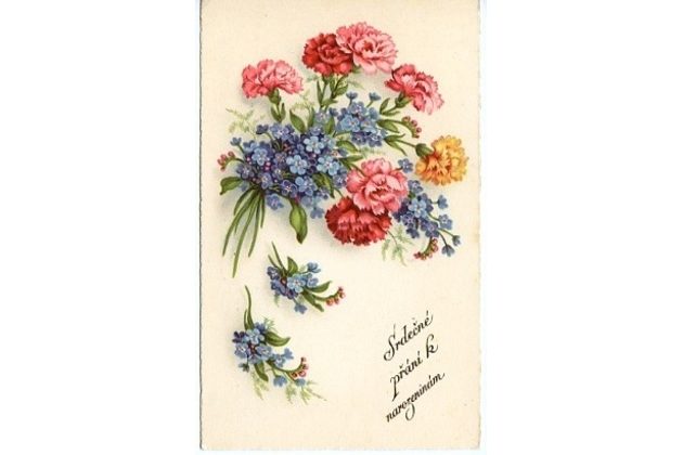 C 38544 - Srdečné blahopřání k narozeninám