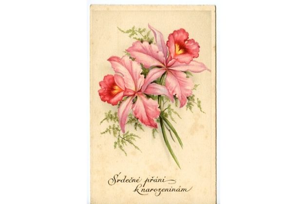 C 38556 - Srdečné blahopřání k narozeninám