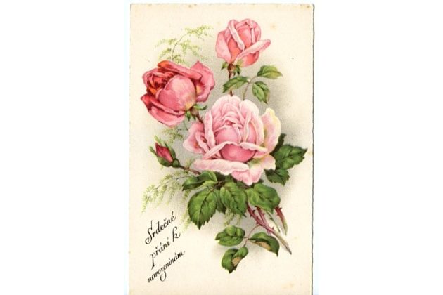 C 38554 - Srdečné blahopřání k narozeninám