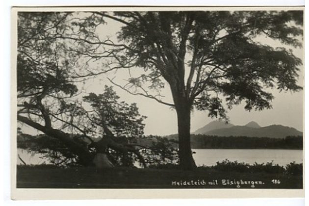 Ostatní cizina - 38633