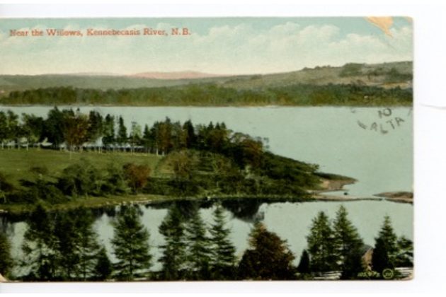 Ostatní cizina - 10626