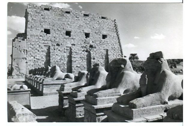 Ostatní cizina - 40301