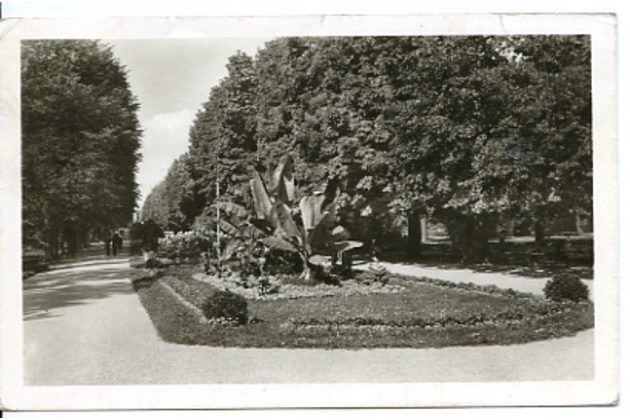 D 40585 - Olomouc (Olmütz)2 