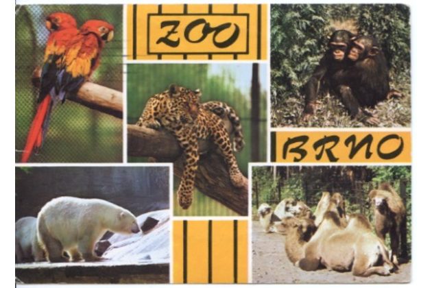 F 41834 - Brno město - část III 