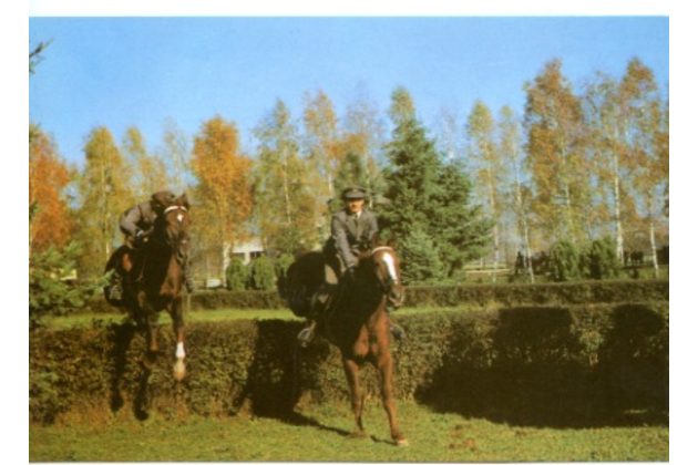 F 42105 - Albertovec