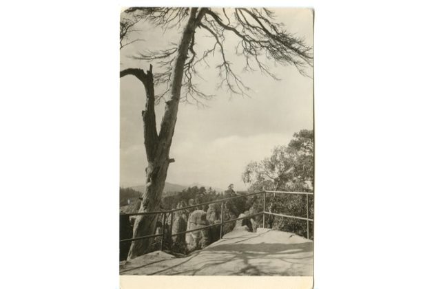 E 42427 - Český Ráj 