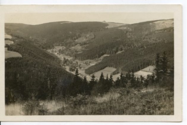 D 43036 - Orlické hory 