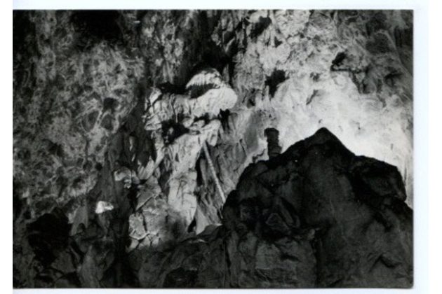 E 42643 - Moravský kras 