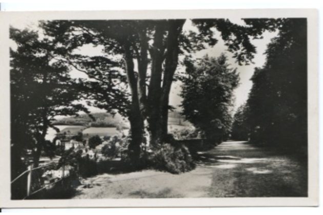 D 42982 - Lázně Gräfenberk 