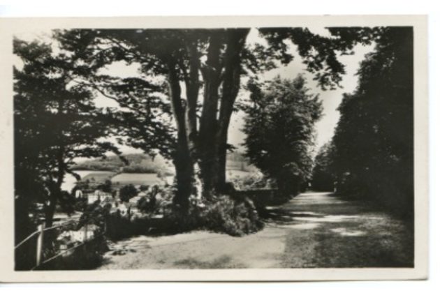 D 43073 - Lázně Gräfenberk 