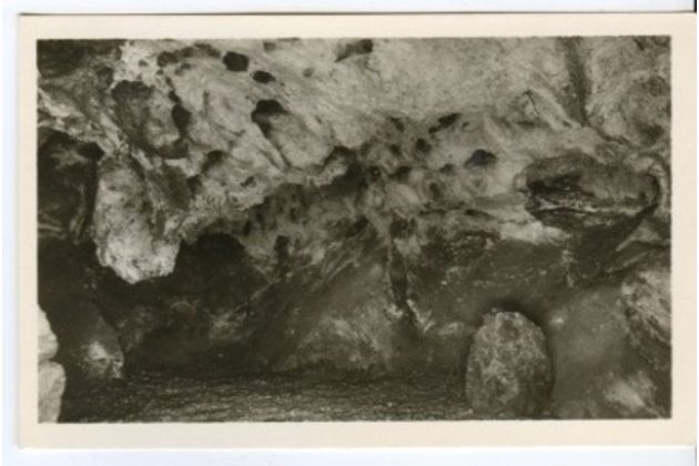 D 43164 - Zbrašovské jeskyně u Hranic 