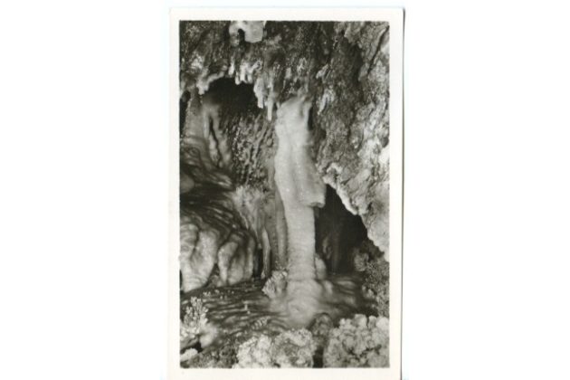 D 43167 - Zbrašovské jeskyně u Hranic 