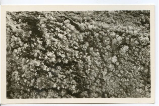 D 43166 - Zbrašovské jeskyně u Hranic 