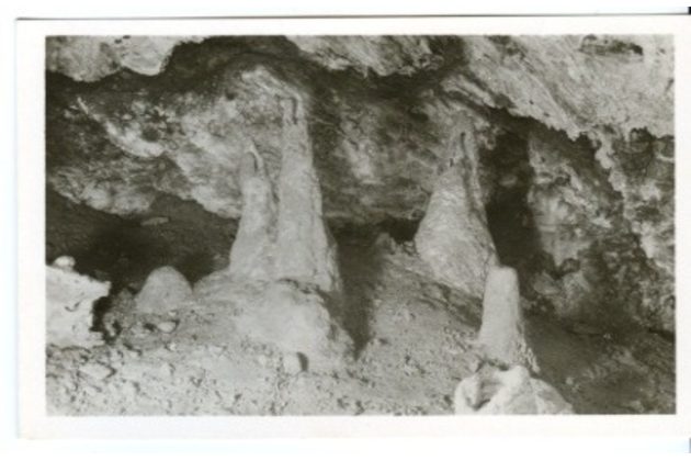 D 43168 - Zbrašovské jeskyně u Hranic 