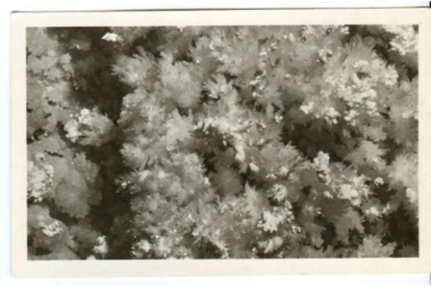 D 43170 - Zbrašovské jeskyně u Hranic 