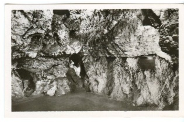D 43177 - Zbrašovské jeskyně u Hranic 