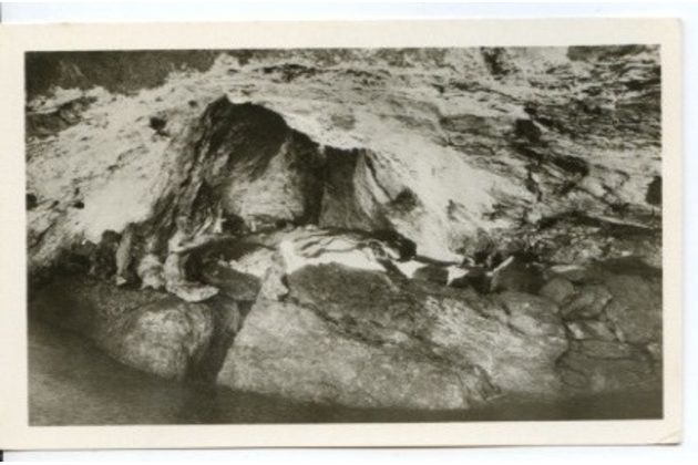 D 43176 - Zbrašovské jeskyně u Hranic 