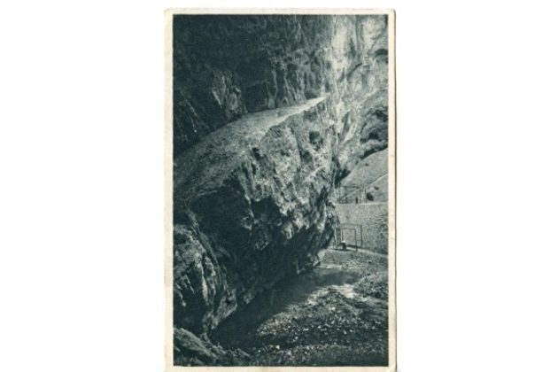 D 43195 - Moravský kras 