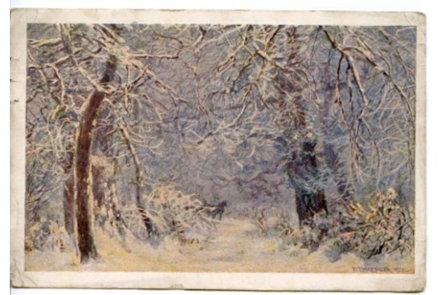 C 43275 - Ferdinand Engelmüller 