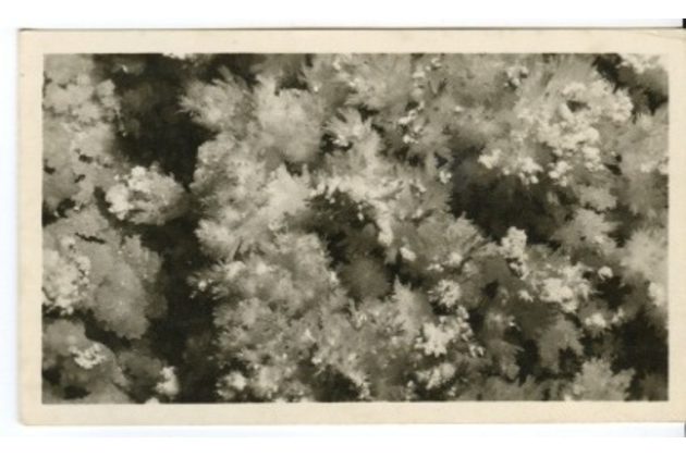 D 43310 - Zbrašovské jeskyně u Hranic 