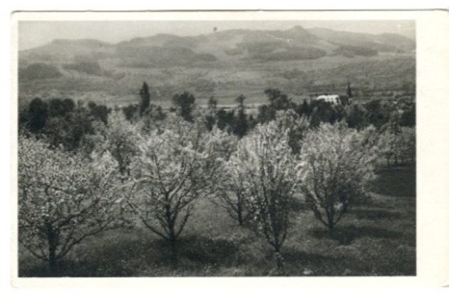 D 43339 - Boletice nad Labem 
