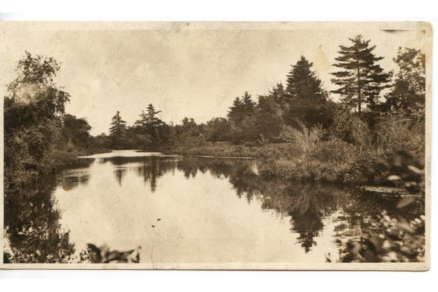 Ostatní cizina - 43513