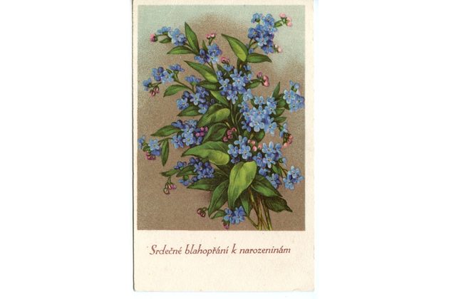 C 43519 - Srdečné blahopřání k narozeninám