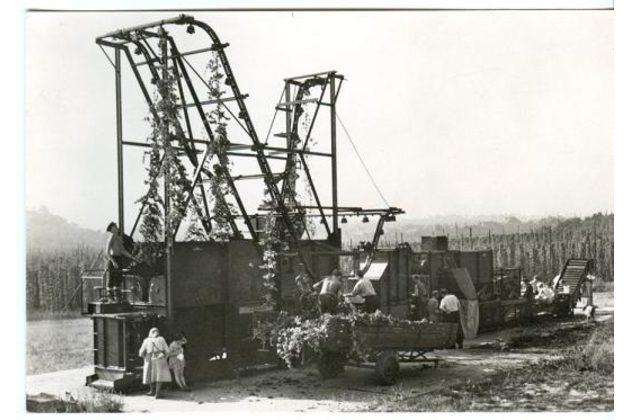 E 43623 - Pozdrav z česání chmele