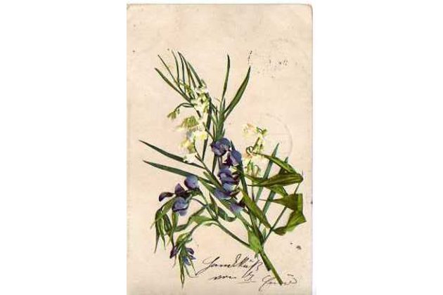 A 43922 - Feldpost+,,Reich" razítka 