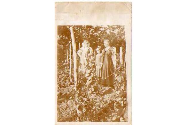 D 43984 - Feldpost+,,Reich" razítka 