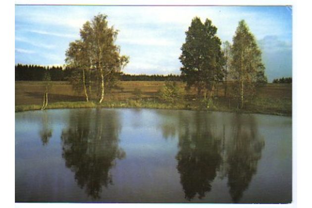 F 37540 - Velký Šenov 