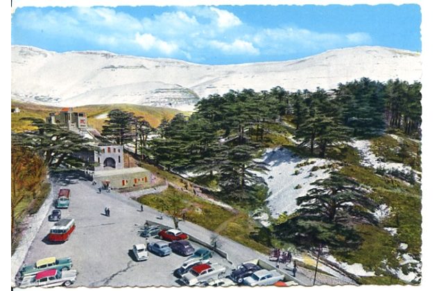 Ostatní cizina - 54440