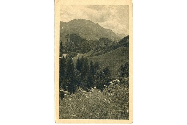 Ostatní cizina - 54455