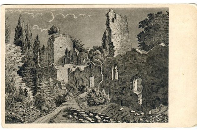 D 54665 - Choustník 