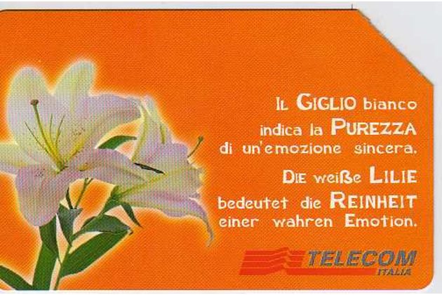 Telefon.karta č.122