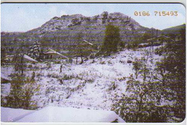 Telefon.karta č.181