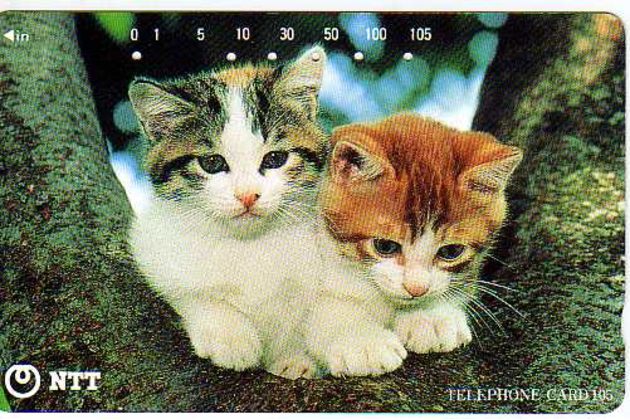 Telefon.karta č.269