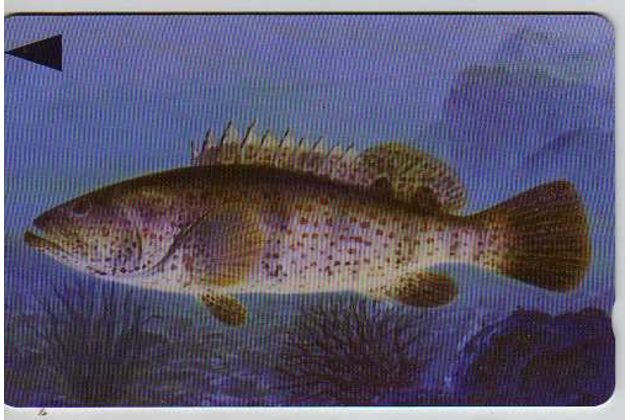 Telefon.karta č.280