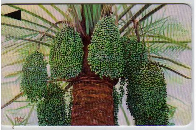 Telefon.karta č.296