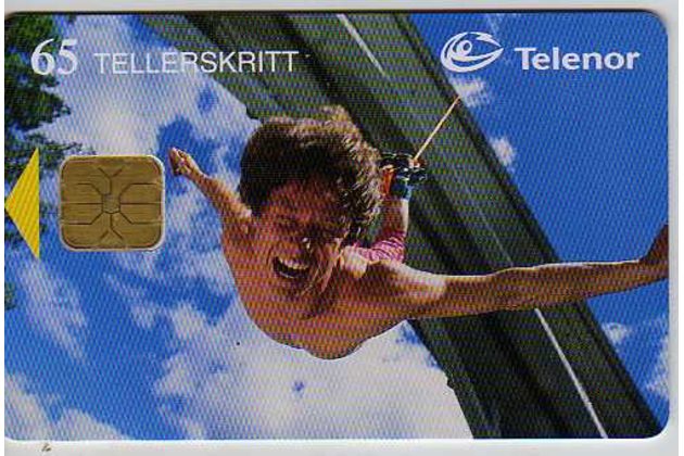 Telefon.karta č.252