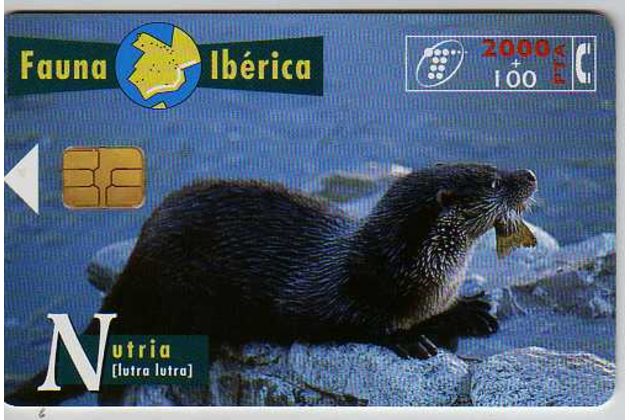 Telefon.karta č.376