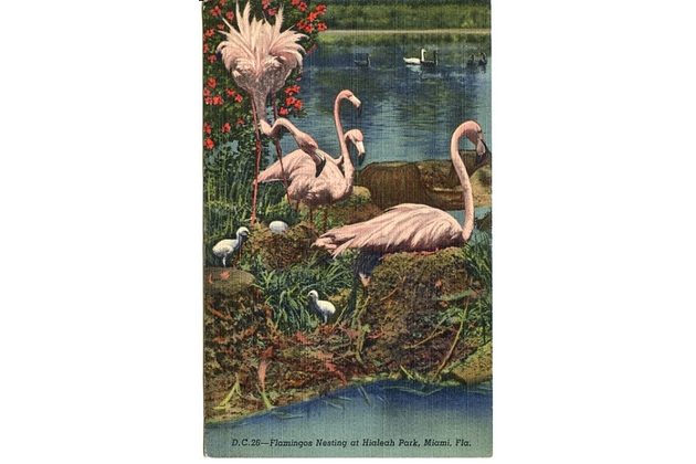 A 54821 - Příroda (flora a fauna) 2 