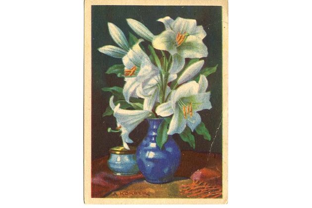 C 54849 - Adolf Körber